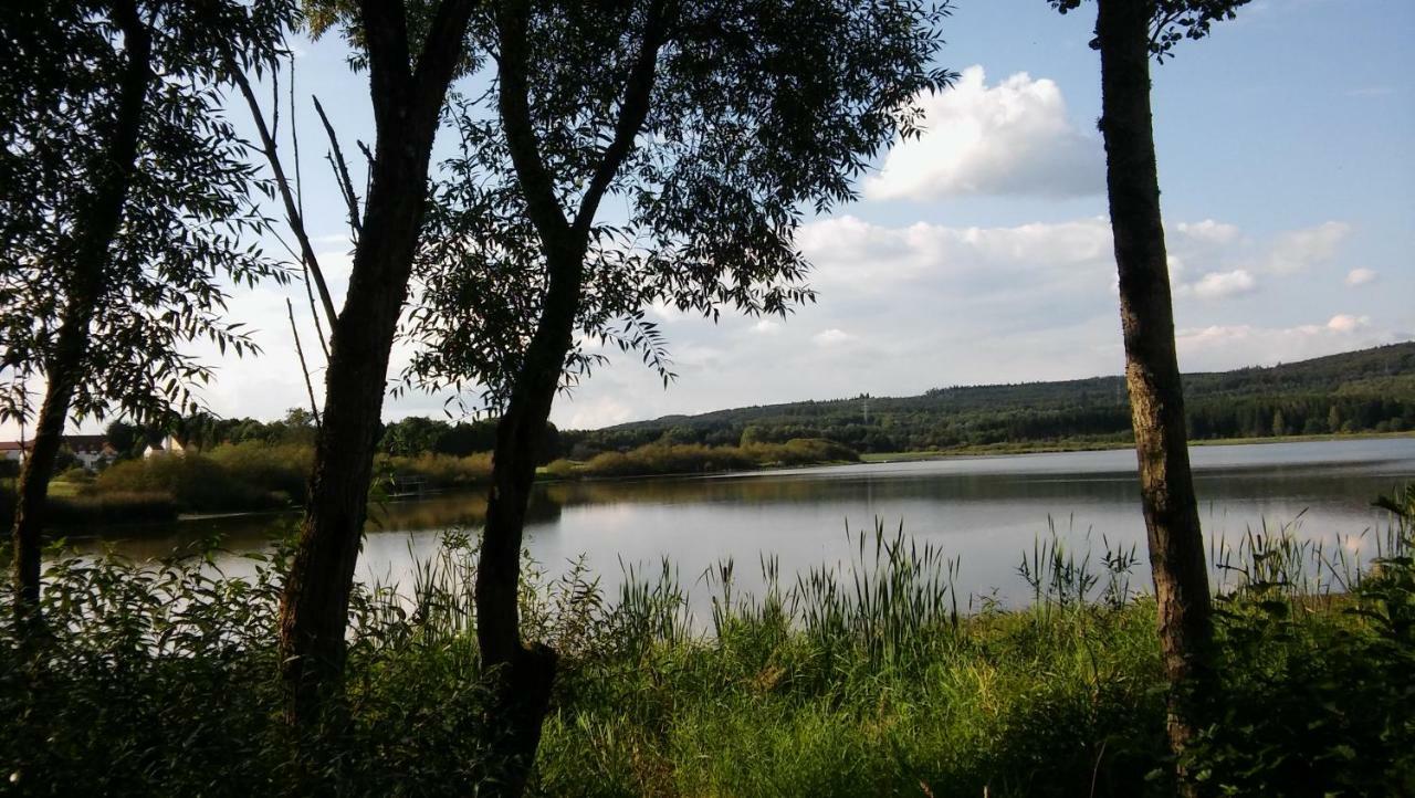 Ferienwohnung In Der Vulkaneifel Ulmen Bagian luar foto