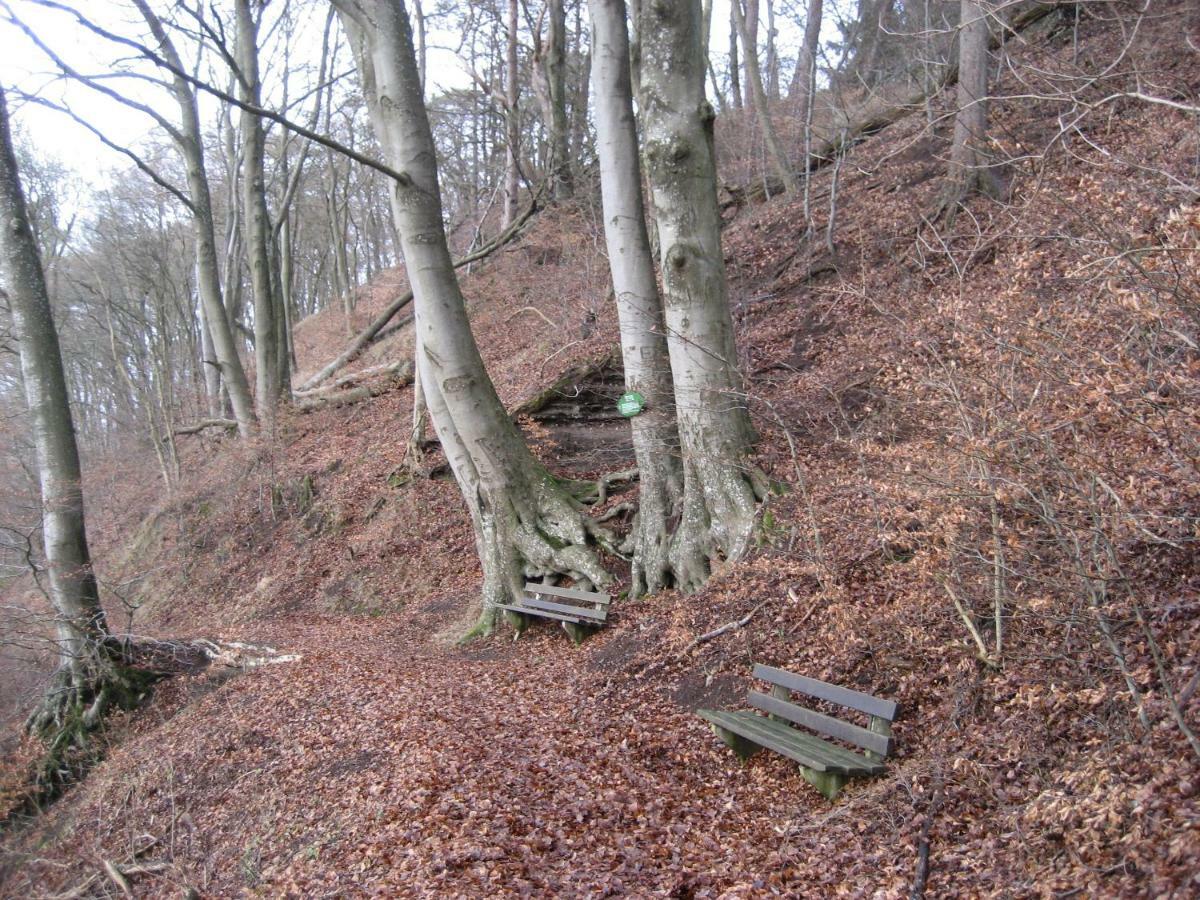 Ferienwohnung In Der Vulkaneifel Ulmen Bagian luar foto